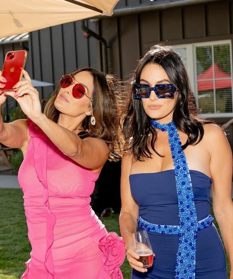 The Bella Twins_ estrella bonita archivo