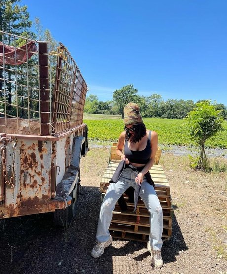 The Bella Twins_ sexo estrella imágenes