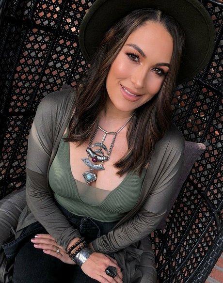 The Bella Twins_ star du porno images