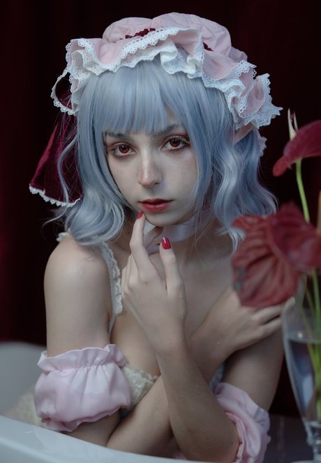 Himee lily nus étoiles images