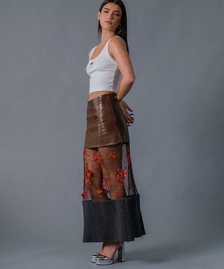 Charli D Amelio estrella porno superior recopilación