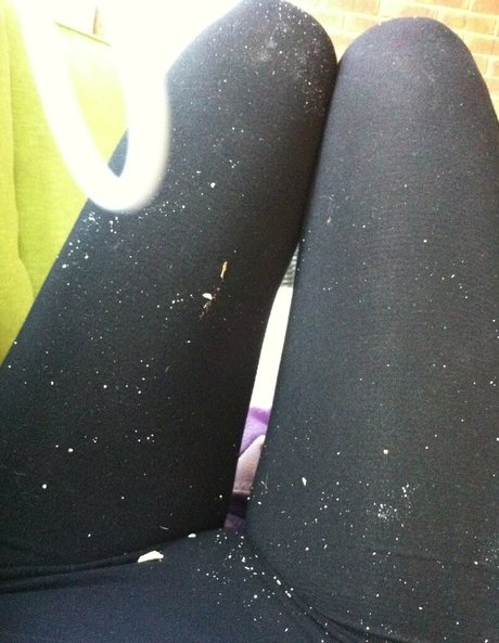 Jennifer Lawrence estrella adulta foto