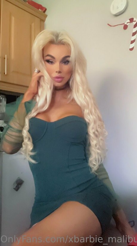 xbarbie malibux art de star du porno archive
