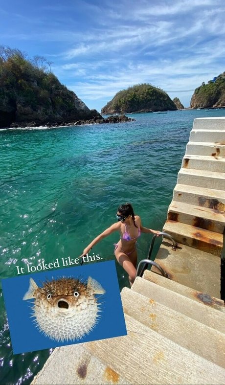 Olivia Munn star du porno de haute qualité photo