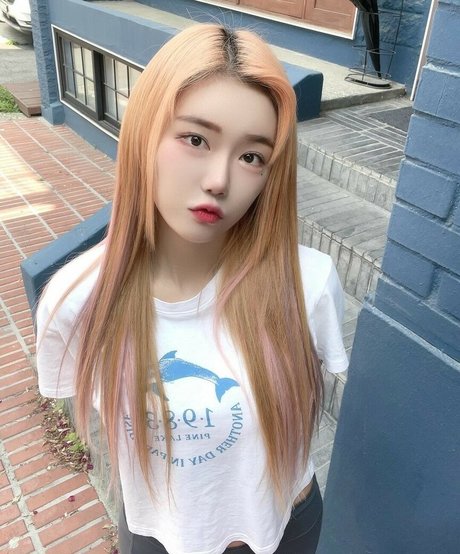 Berry modèle de haute qualité galerie