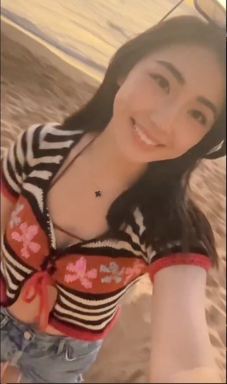 xChocobars joli modèle collection