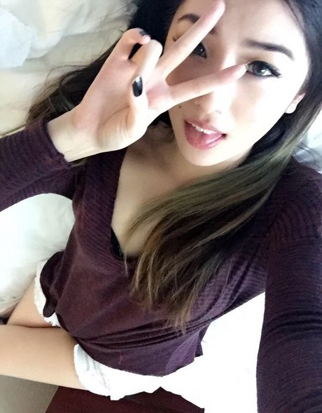 xChocobars estrella de alta calidad archivo