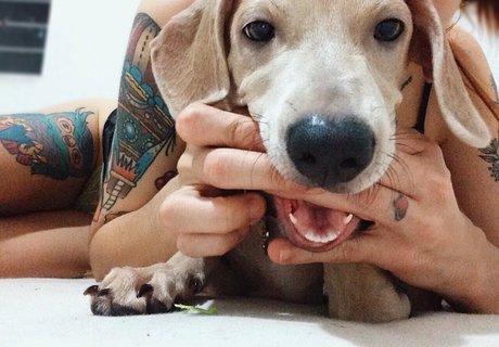 camilaferreirai modelo hermosa imagen