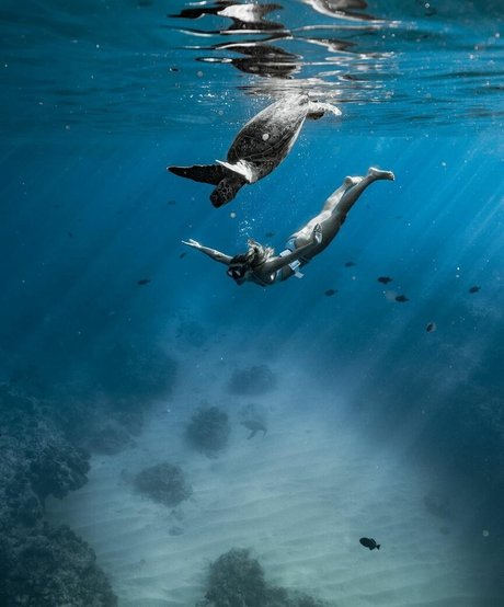 Olivia Ponton desnudos estrella galería