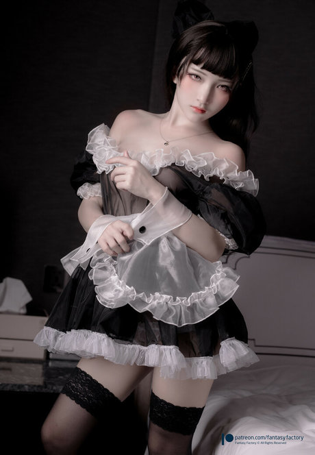 Fantasy Factory estrella perfecta recopilación