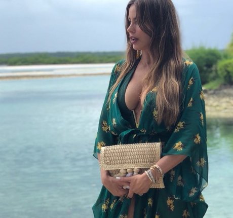 Sofia Vergara haut modèle img