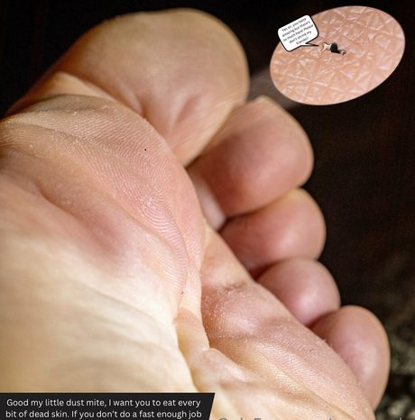 macrocole estrella porno xxx archivo