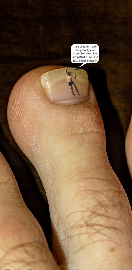 macrocole estrella imágenes