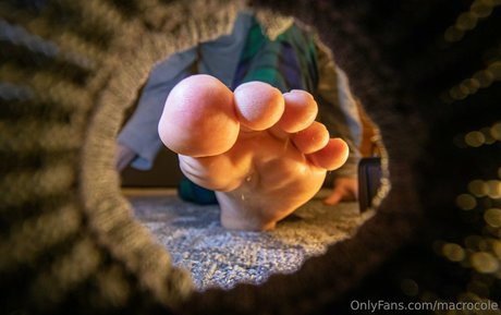 macrocole exclusive model pics