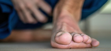 macrocole étoile exclusive img