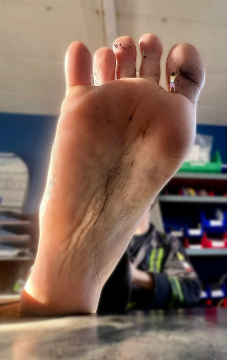 macrocole modelo superior archivo