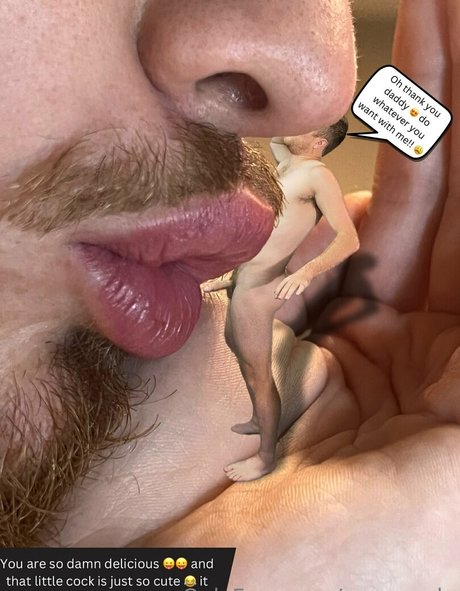 macrocole modèle hd galeries