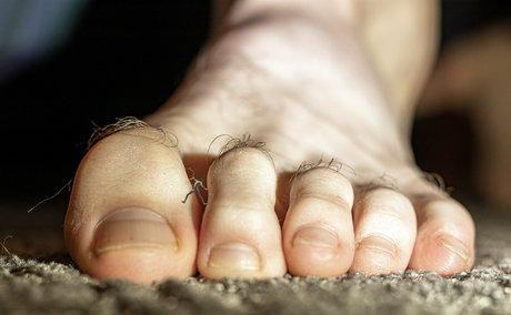 macrocole actrice exclusive galerie