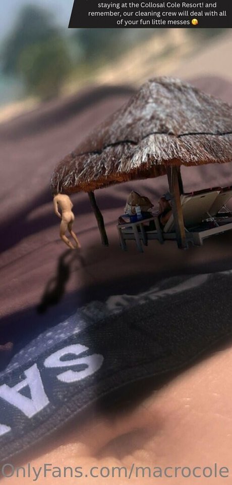 macrocole Image de profil