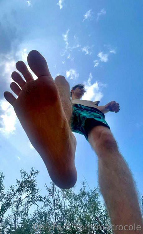 macrocole estrella porno imagen