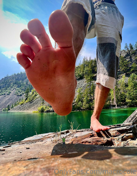 macrocole star du porno parfaite collection