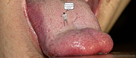 macrocole estrella porno gratis archivo