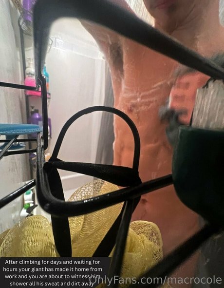 macrocole estrella libre galería