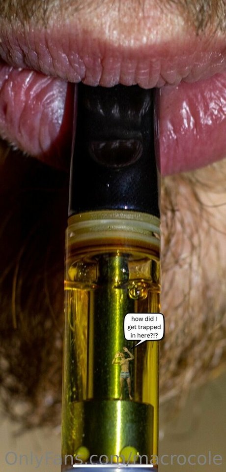 macrocole star du porno adulte galeries