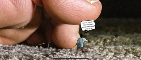 macrocole model archive