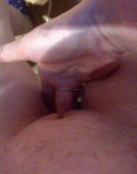 Exibam Sua Companheira desnudos de estrellas imagen