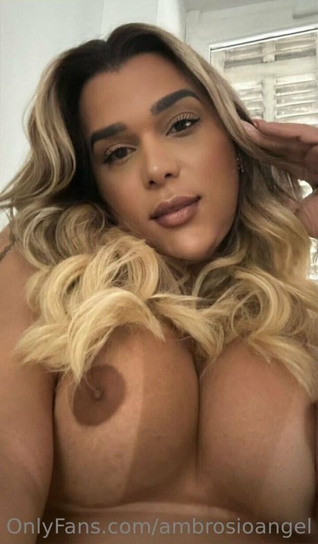 ambrosioangel haut modèle galerie