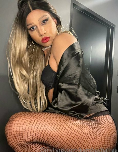 kambuchafree étoile magnifique collection