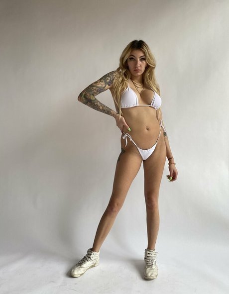 shayspicefree buen modelo archivo