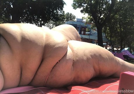 barbiessbbw belle étoile collection