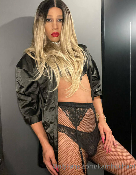 kambuchaof estrella caliente recopilación