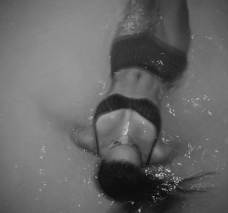 Draya Michele modelo adulto imagen