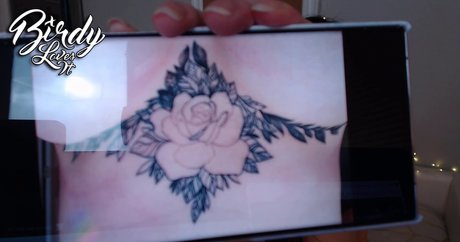 BirdyLovesIt estrella hd imagen