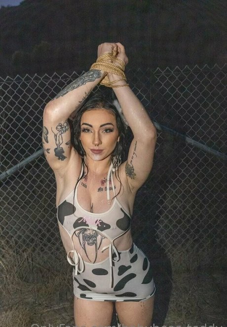 babybear teddy estrella porno de arte imagen