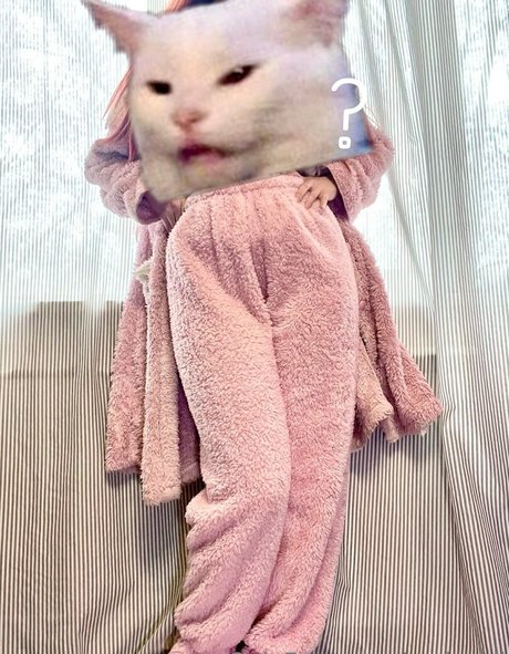 ami chii modelo libre recopilación