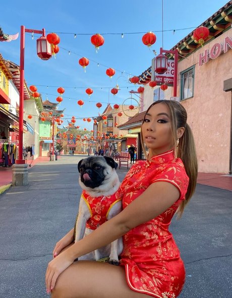 vmynguyen modèle joli img