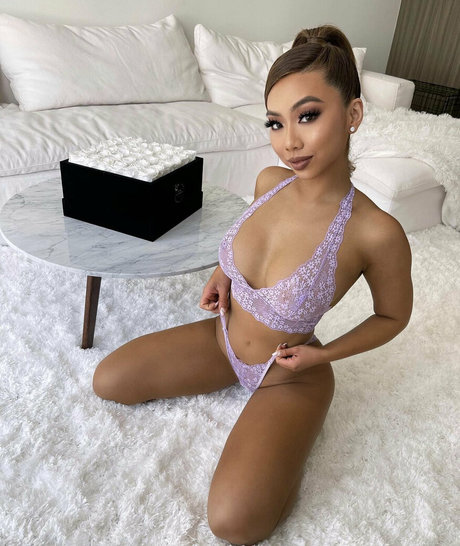 vmynguyen étoile hd galerie