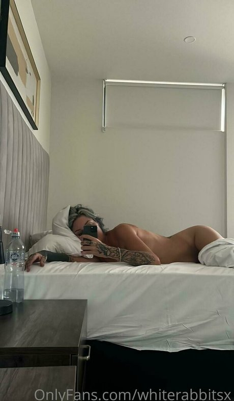 whiterabbitsx meilleure star du porno galeries