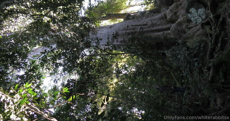 whiterabbitsx estrella porno agradable recopilación