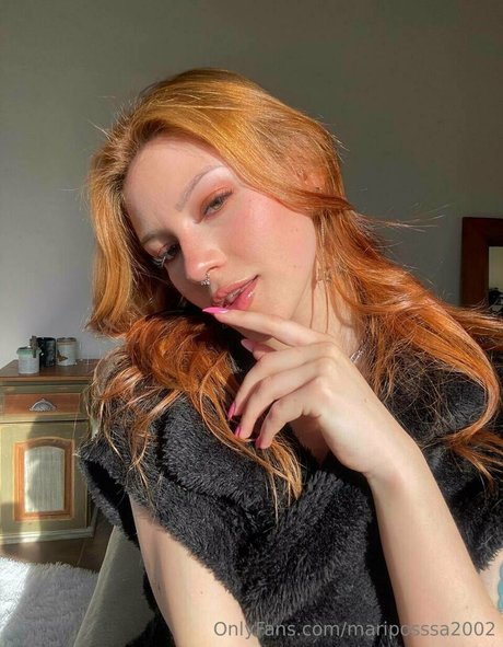 mariposssa2002 estrella bonita galerías