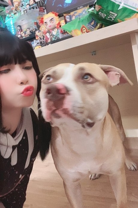 uyuy2907 haut modèle collection