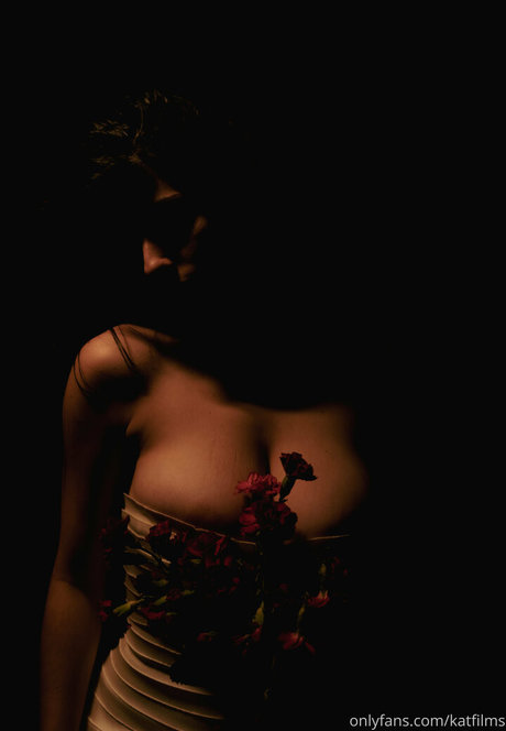 Kat Cabaret estrella perfecta archivo