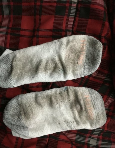 sammysole modèle gratuit images