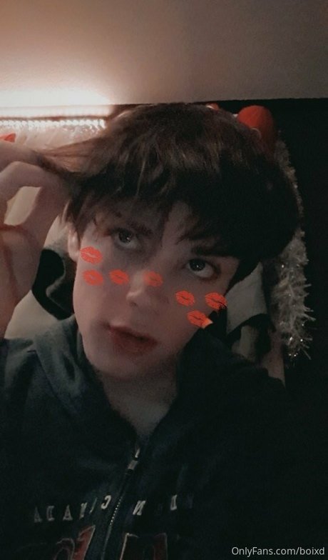 boixd étoile de haute qualité photos