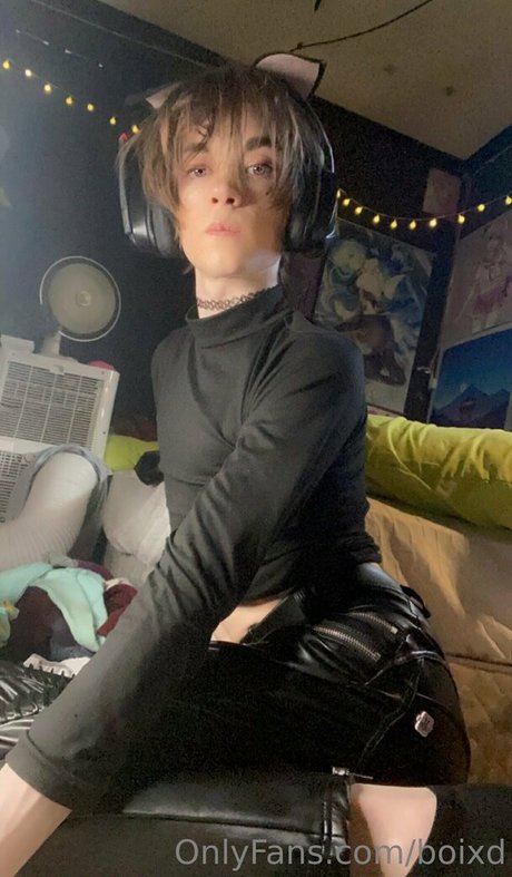 boixd modelo de alta calidad archivo