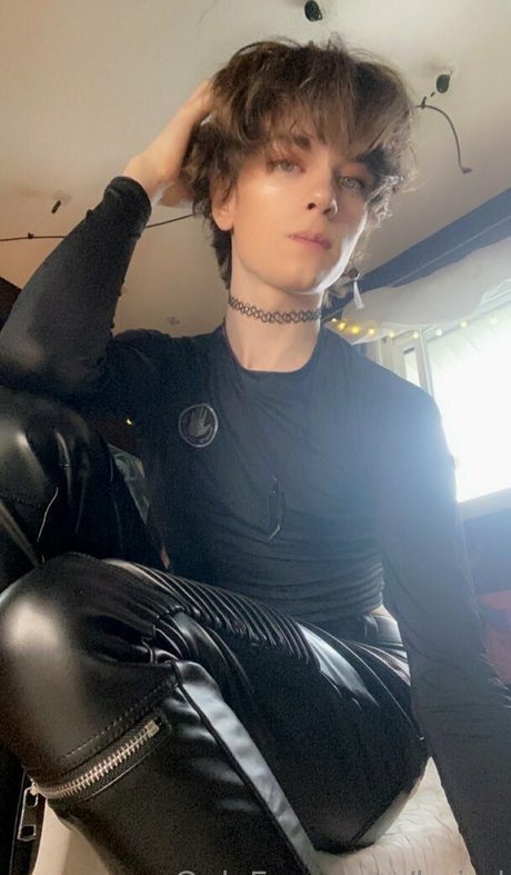 boixd star du sexe collection